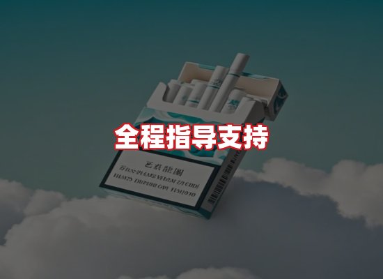 专业团队
